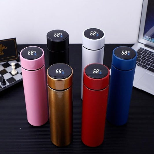 Stainless Steel Water Bottle, with Temperature Display