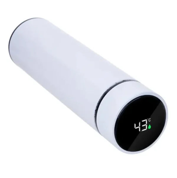 Stainless Steel Water Bottle, with Temperature Display