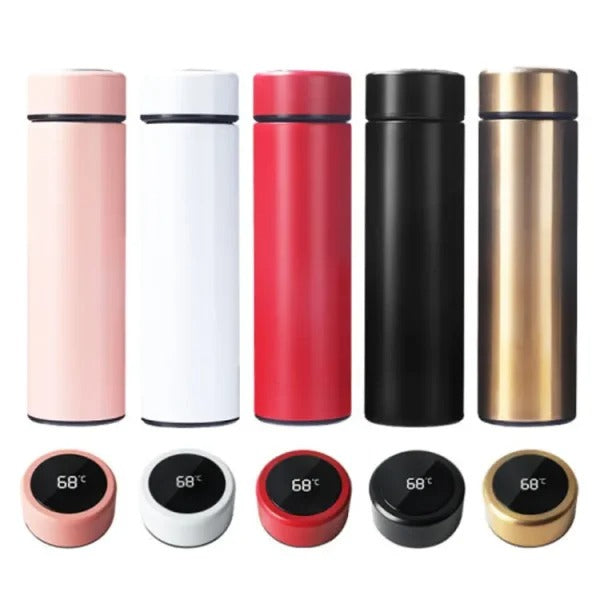 Stainless Steel Water Bottle, with Temperature Display