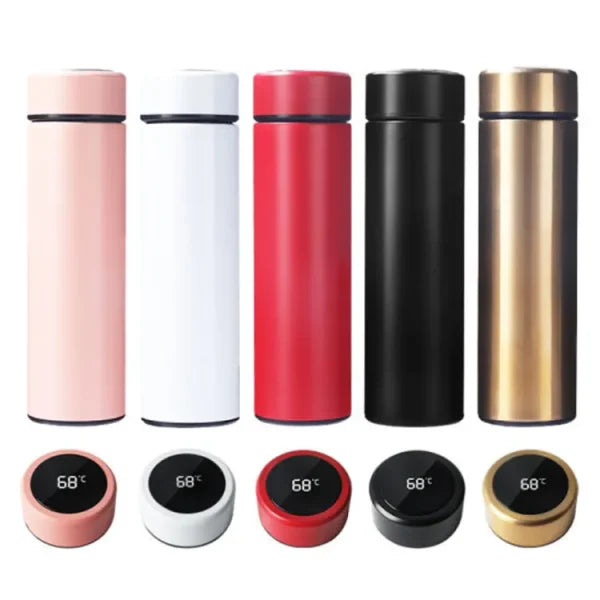 Stainless Steel Water Bottle, with Temperature Display